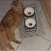Barbara Lamonica - Facebook