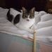 Mandurino Barbara - Facebook