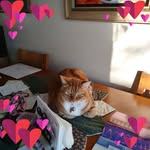 Barbara Edwards Lamont - @edwardslamont - Instagram