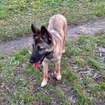 Barbara Lamontagne - @barbara.lamontagne.94 - Instagram