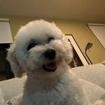 Barbara Lampert - @bjlmd - Instagram