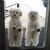 Barbara Lamphere - Facebook