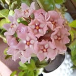 Barbara Hoya - @barbaraland05 - Instagram