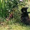 Barbara Landers - @barbara.landers7 - TikTok