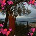Barbara Landa - Facebook