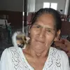 barbaralanda7 - @barbaralanda7 - TikTok