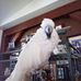 Barbara Landi - Facebook