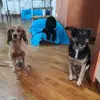 Barbara Landi - @barbara.landi5 - TikTok