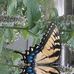 Barb Landry - Facebook