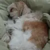 barbaralang82 - @barbaralang82 - TikTok