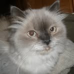 Barbara Langdon - Facebook