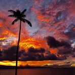 Barbara Langenorf - Facebook