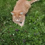 Barbara Lingenheil - Facebook