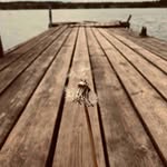 Barbara Langley - @barbaralangley53 - Instagram