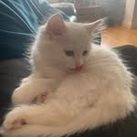 Barbara Langley - @langley6554 - Instagram