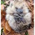 Barbara Langley - Facebook