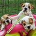 Barbara Langston - Facebook