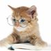 Barbara Lanham - Facebook