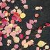 Barbara Lanham - Facebook
