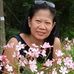 Barbara Lans - Facebook