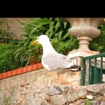 Barbara Lanzi - Facebook