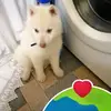 barbaraapadula - @barbaraapadula - TikTok
