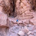 Barbara Altschuler Large - @beelove55 - Instagram