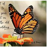 Barbara Large - @love_divine_earth - Instagram