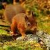 Barbara Lau - Facebook