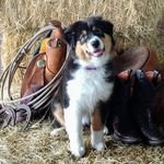 Barbara Layton - @mombriejosi - Instagram
