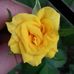 Barbara Leal - Facebook