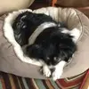 Barbara - @barbarawhiteleath - TikTok