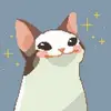 Barbara Lebarke - @barbara.lebarke - TikTok