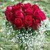 Barbara Leeman - Facebook