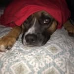 Barbara Lehr - @blehr1047 - Instagram