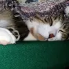 barbaralenzi90 - @barbaralenzi90 - TikTok