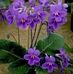 Barbara Leonhardt - Facebook