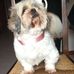 Barbara Leoni - Facebook