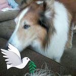 Barbara Leopold - @barbara.leopold.758 - Instagram
