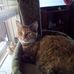 Barb Lepine - Facebook