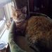 Barb Lepine - Facebook