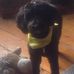 Barbara Leppert - Facebook