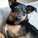 Barbara Les - Facebook