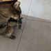 Barbara Lesch - Facebook