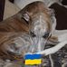 Barbara Lesch - Facebook
