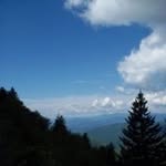 Barbara Lescher - @lescherbarbara - Instagram