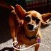 Barbara Lesher - Facebook