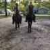 Barbara Lessard - Facebook