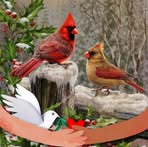 Barbara Moody Letson - Facebook