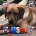 Barbara Lett - Facebook